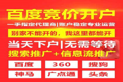 百度推广策略揭秘：某行业领头羊的成功经验