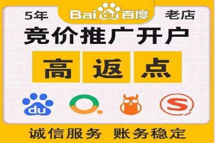 深入解析SEM账户竞价运营成功案例